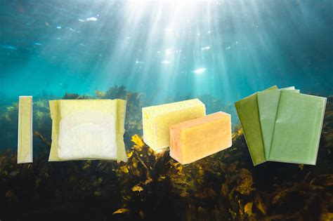 Magic Seaweed and its Impact on Marine Life: Finding the Balance